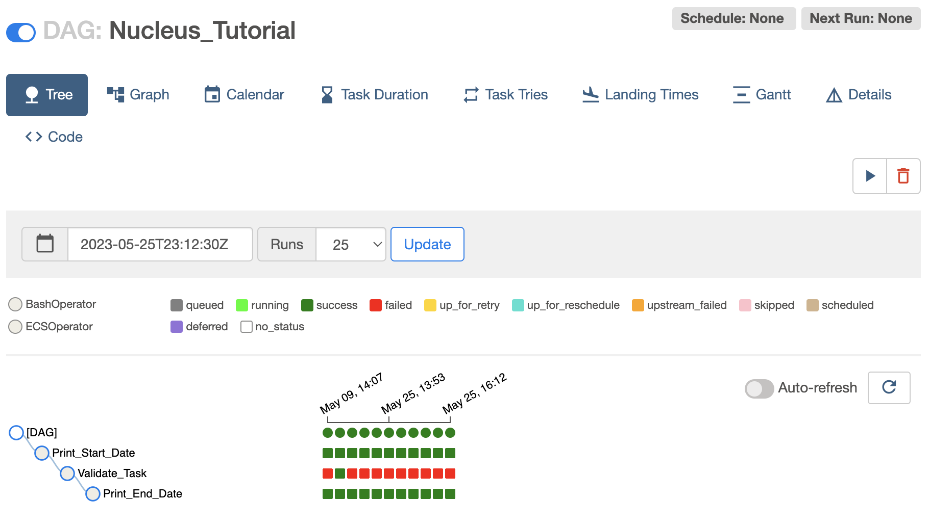 Airflow Successful Workflow in Tree View